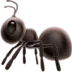 Ant