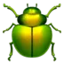 Beetle