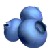 Blueberries
