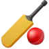 Cricket Game