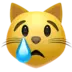 Crying Cat
