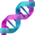 DNA