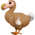 Dodo