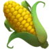 Ear of Corn
