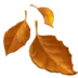 Fallen Leaf