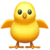 Front-Facing Baby Chick