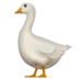 Goose