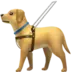Guide Dog