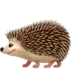 Hedgehog