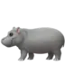 Hippopotamus