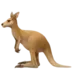 Kangaroo