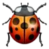 Lady Beetle