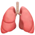 Lungs
