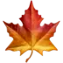 Maple Leaf