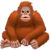 Orangutan