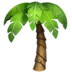 Palm Tree