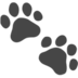 Paw Prints