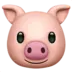 Pig Face