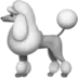 Poodle