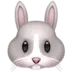 Rabbit Face