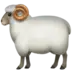 Ram