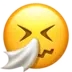 Sneezing Face