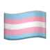 Transgender Flag