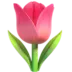 Tulip