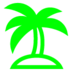 Palm Tree