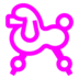 Poodle