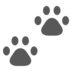 Paw Prints