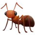 Ant