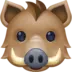 Boar