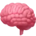 Brain