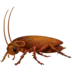 Cockroach
