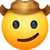 Cowboy Hat Face