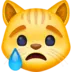 Crying Cat