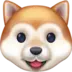 Dog Face