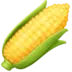 Ear of Corn
