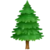 Evergreen Tree