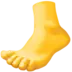 Foot