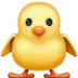 Front-Facing Baby Chick