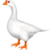 Goose