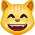 Grinning Cat With Smiling Eyes