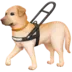 Guide Dog