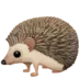Hedgehog