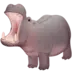 Hippopotamus