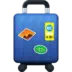 Luggage