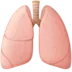Lungs