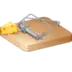 Mouse Trap